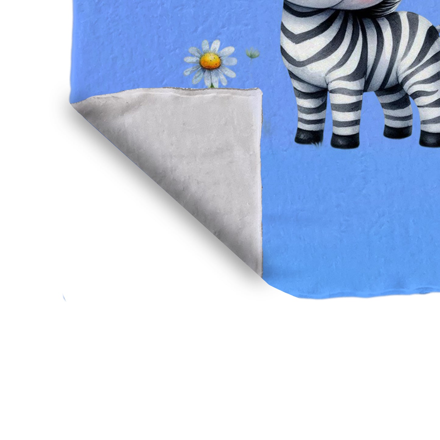 Tiny Sleepy Zebra Minky Blanket