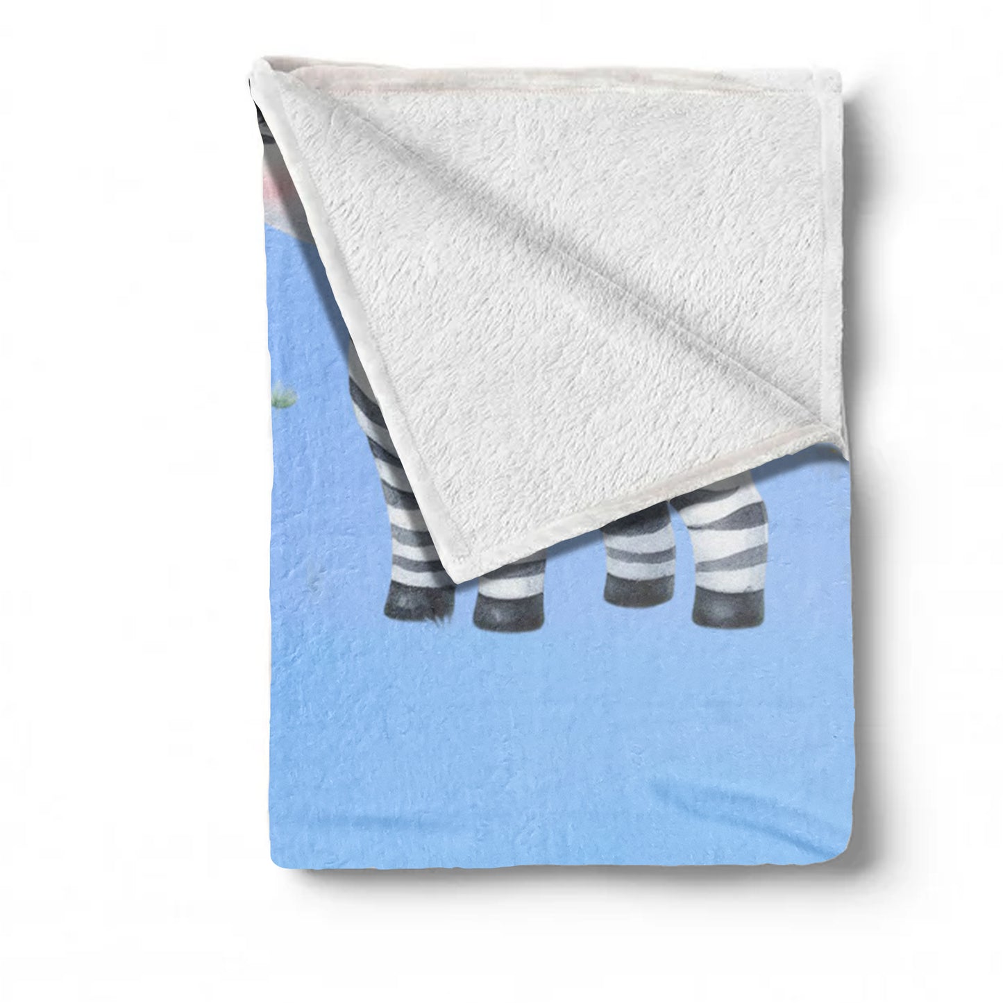 Tiny Sleepy Zebra Minky Blanket