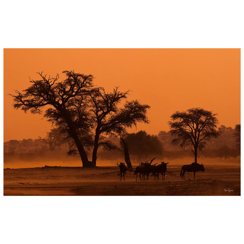Sunset in the Kgalagadi By Fanie Heymans Rectangle Tablecloth