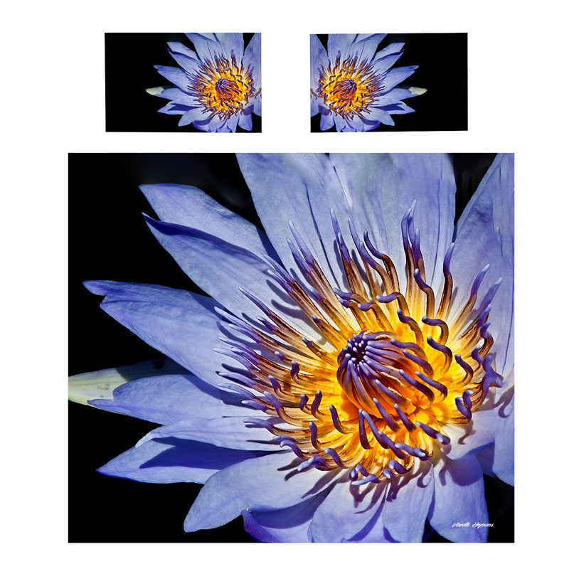 Water Lily By Annette Heymans Duvet Cover Set