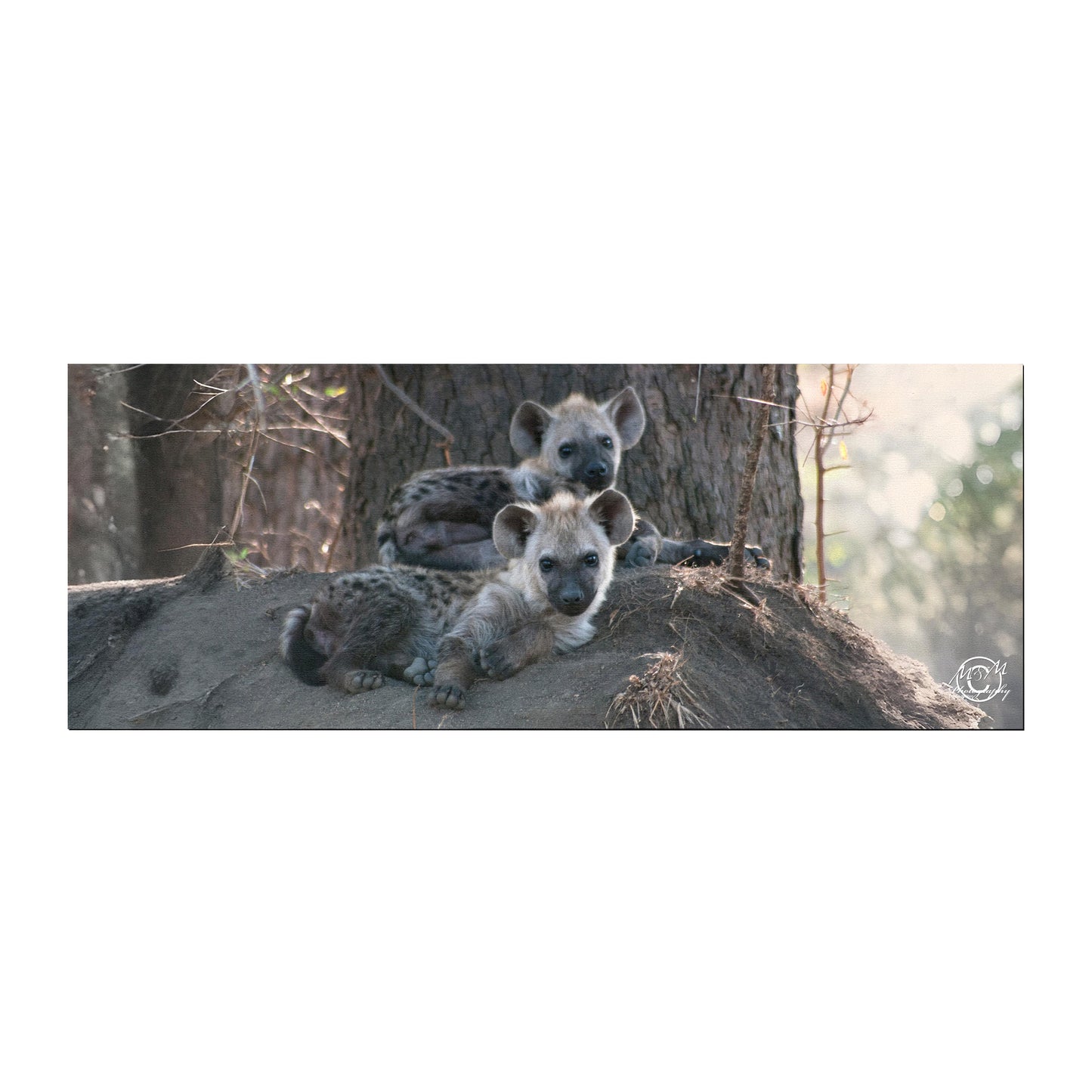 Hyena Cubs Desk Pad by Ferdie Muller
