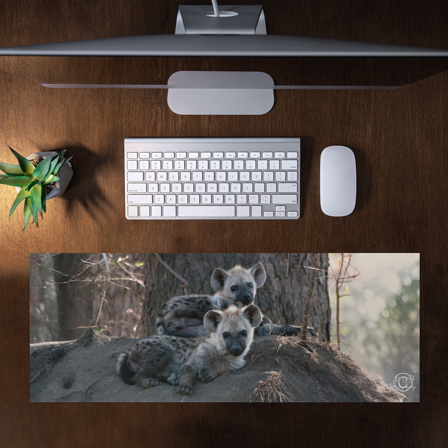 Hyena Cubs Desk Pad by Ferdie Muller