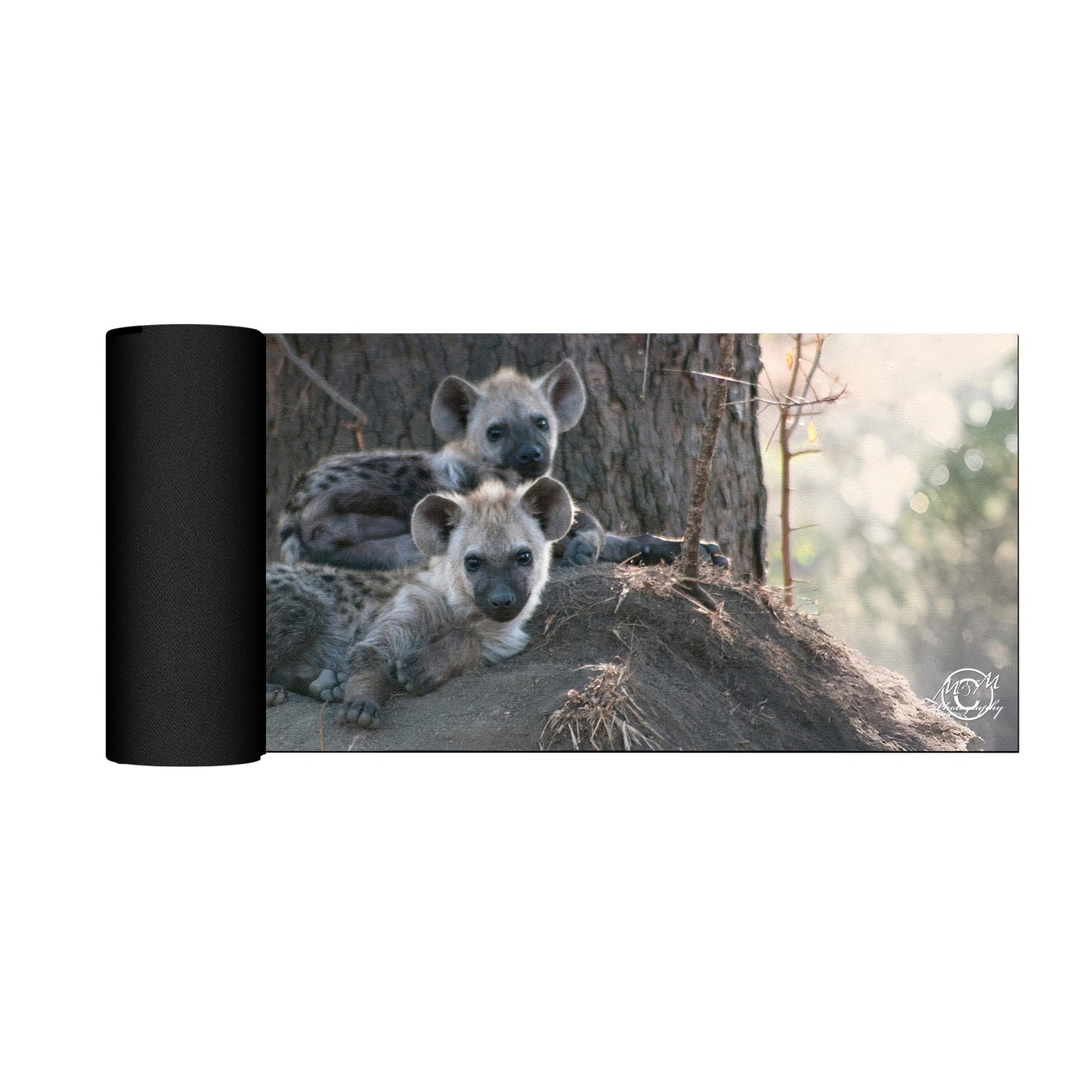 Hyena Cubs Desk Pad by Ferdie Muller