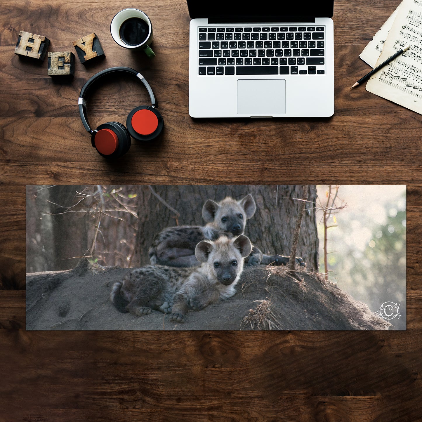 Hyena Cubs Desk Pad by Ferdie Muller