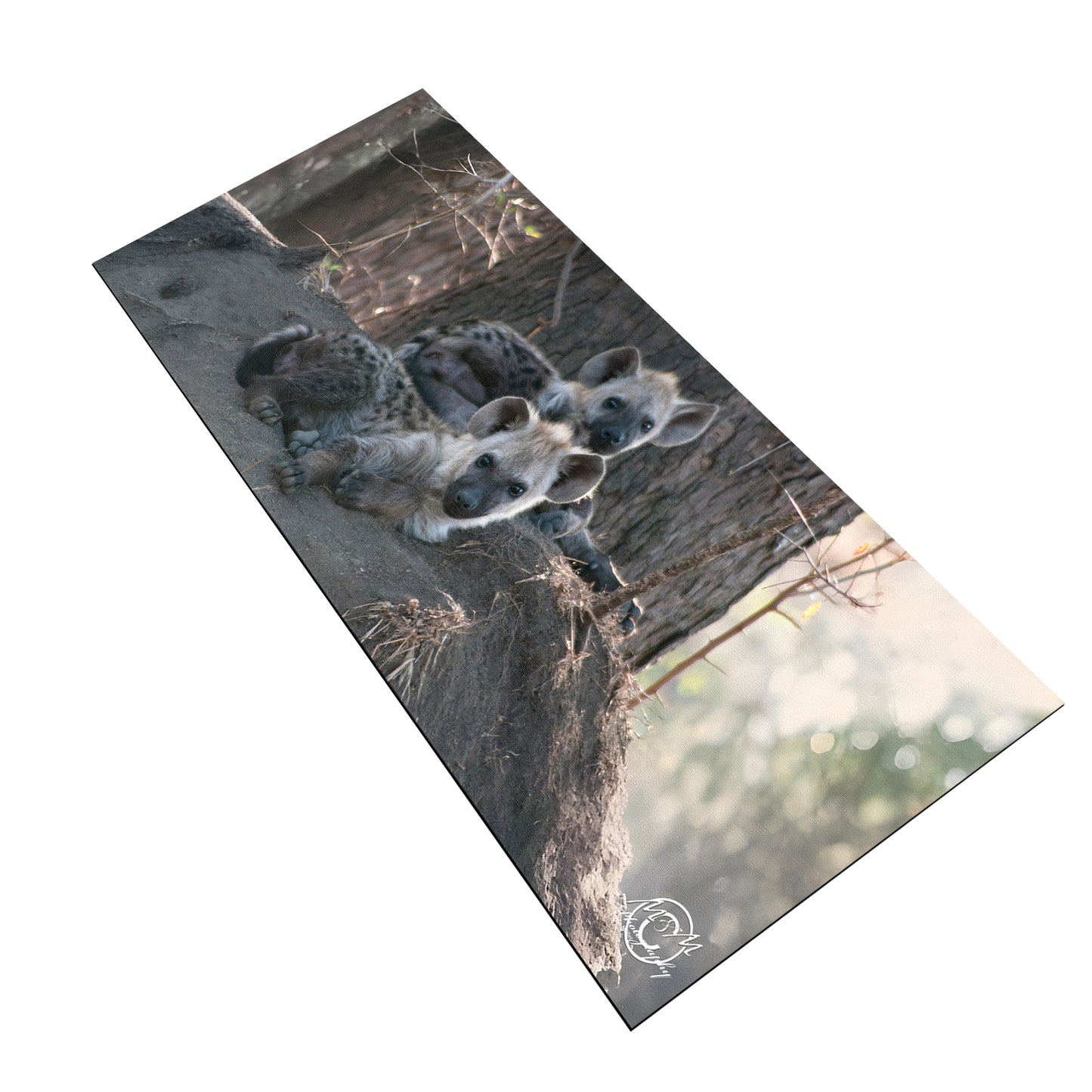Hyena Cubs Desk Pad by Ferdie Muller