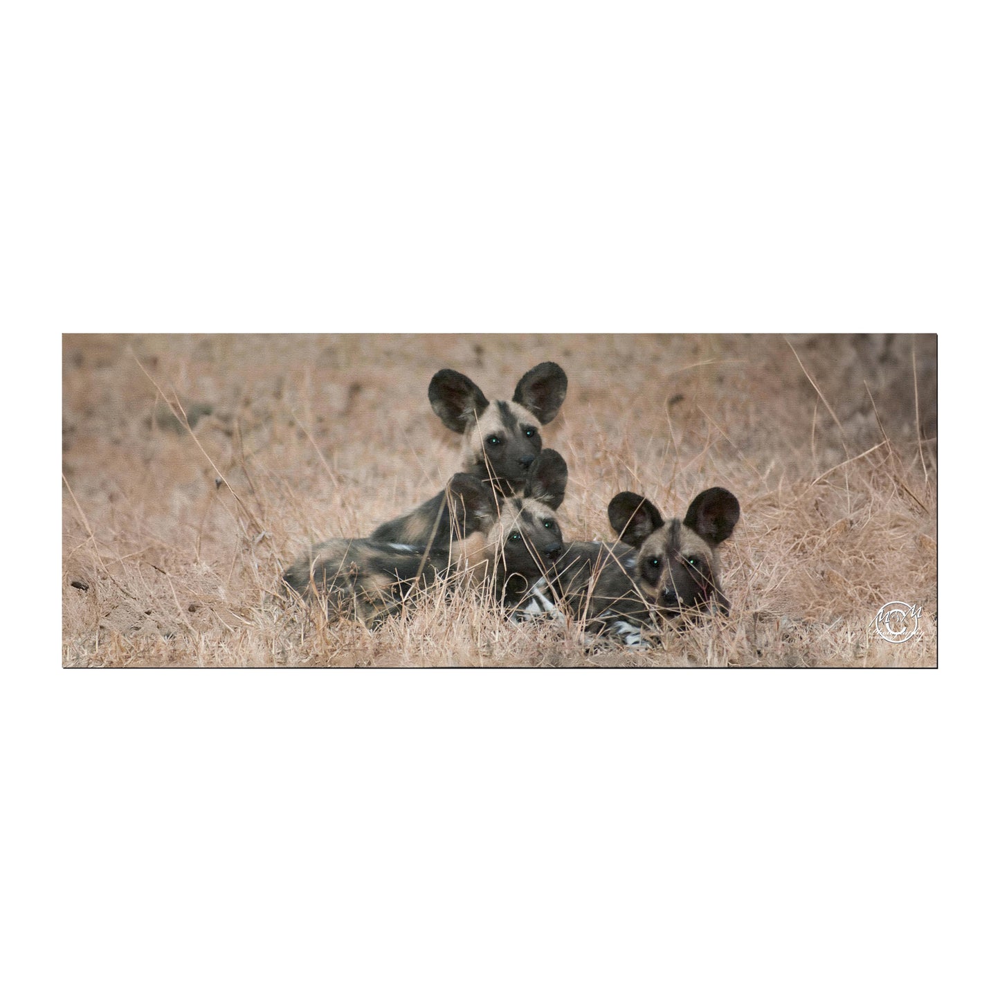 Wild Dogs Desk Pad by Ferdie Muller