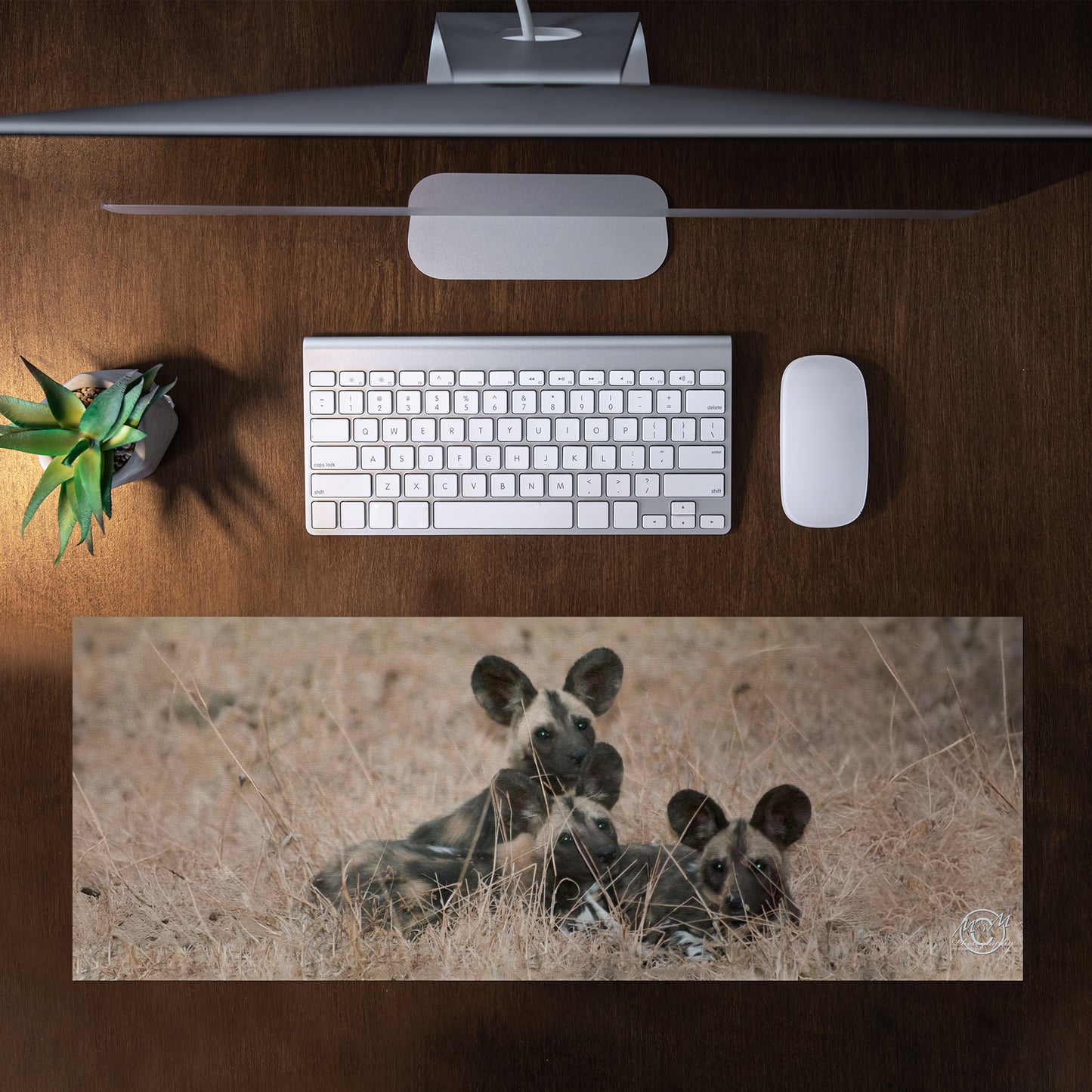 Wild Dogs Desk Pad by Ferdie Muller