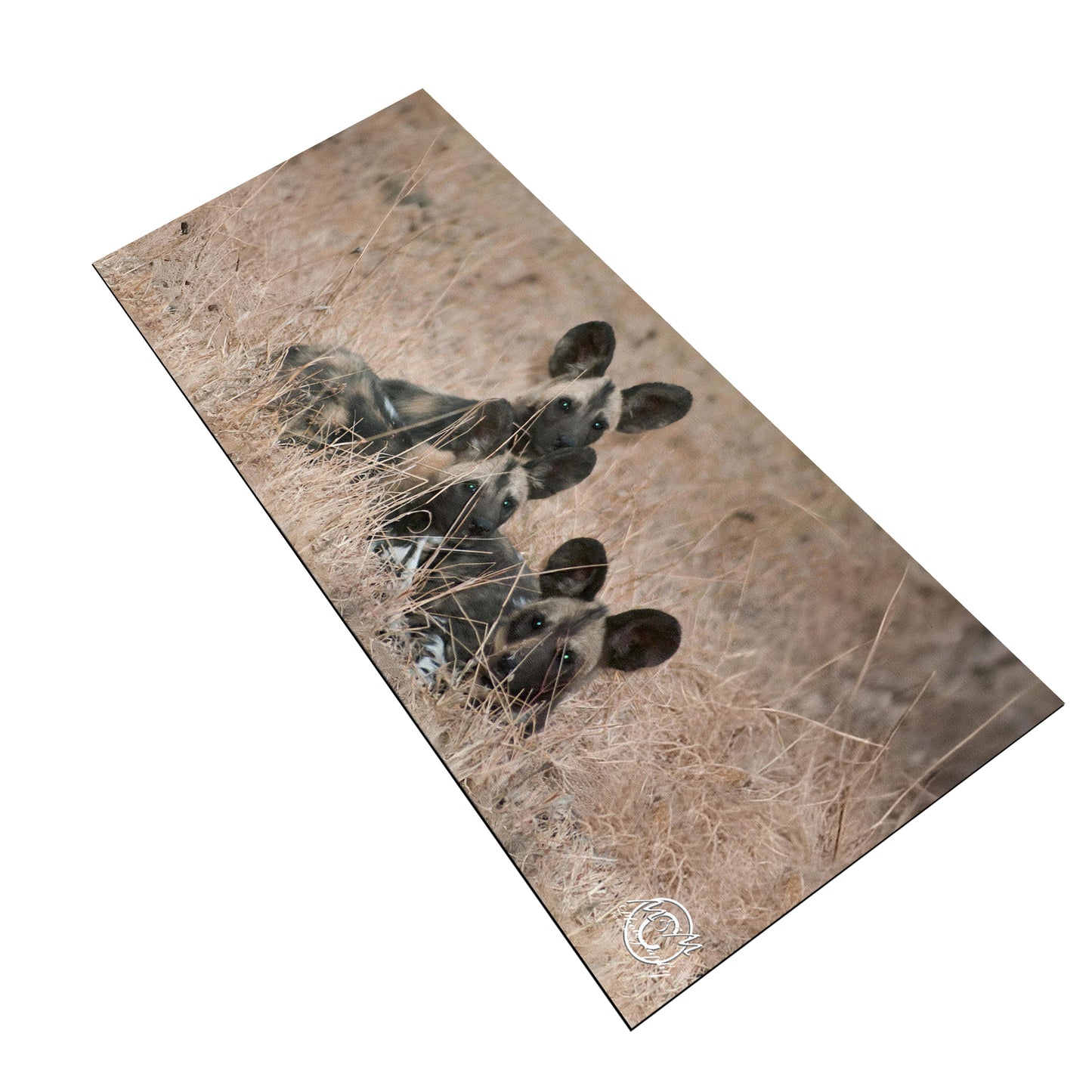 Wild Dogs Desk Pad by Ferdie Muller