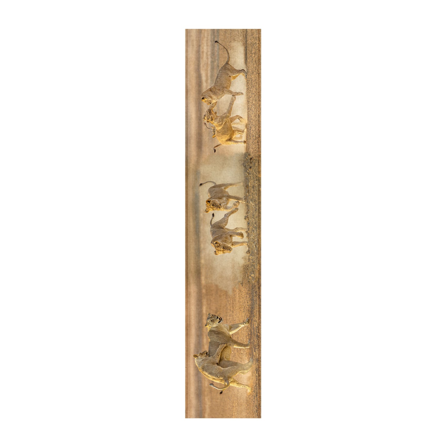 Wildlife Lions Table Runner by Fanie Heymans
