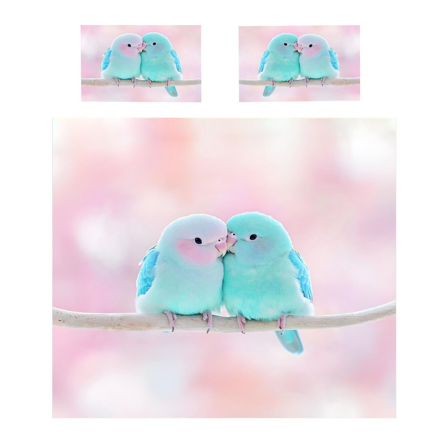 Wings of Affection Duvet Cover Set