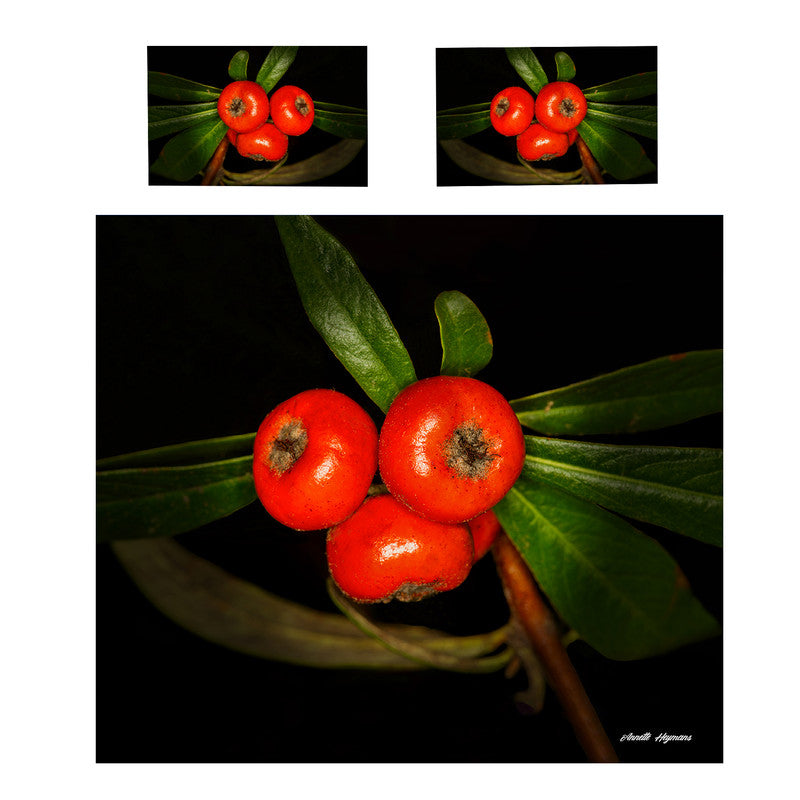 Yellow Firethorn Duvet Cover Set by Annette Heymans