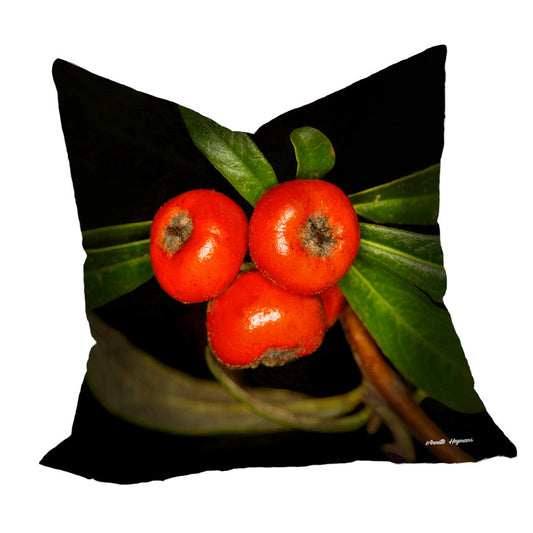 Yellow Firethorn Luxury Scatter by Annette Heymans