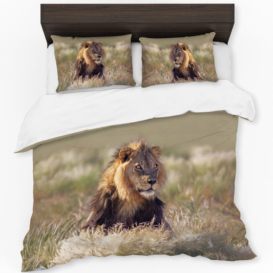 Young Male Lion Duvet Cover Set by Annette Heymans