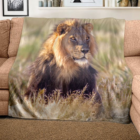 Young Male Lion Light Weight Fleece Blanket by Annette Heymans