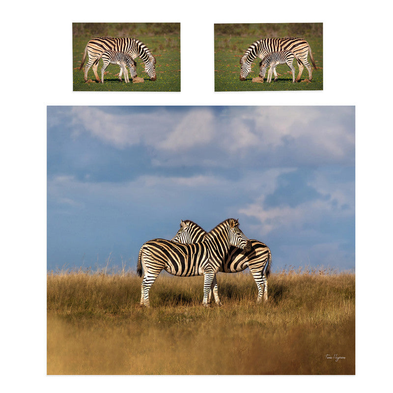 Zebra By Fanie Heymans Duvet Cover Set