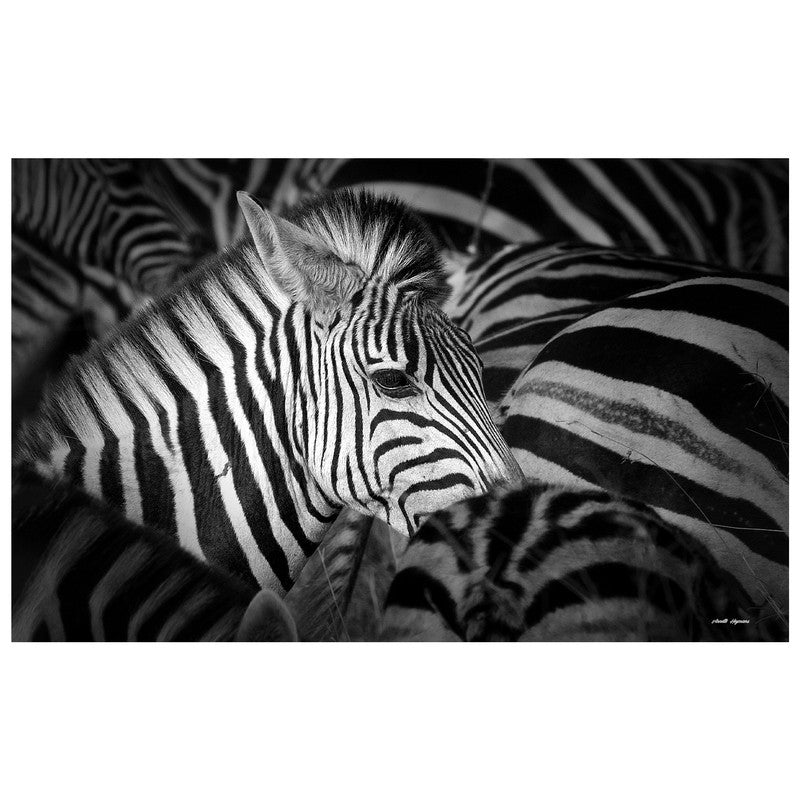Zebra Stripes By Annette Heymans Rectangle Tablecloth