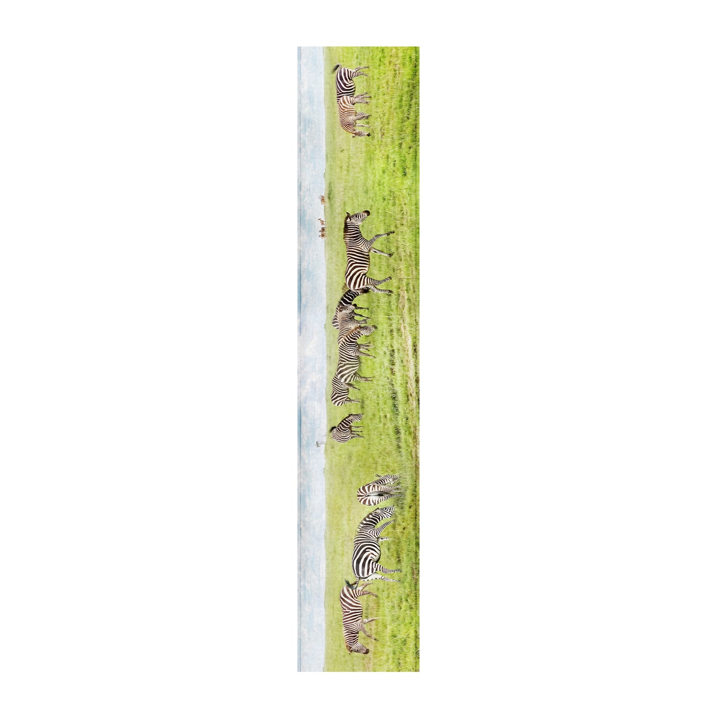Zebra Herd Table Runner