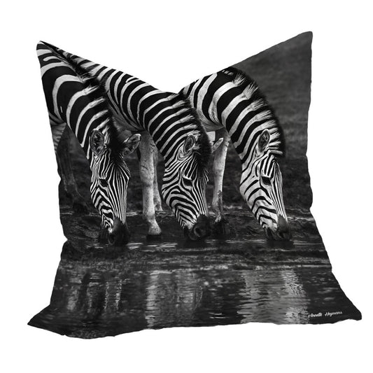 Zebras Drinking Water Luxury Scatter by Annette Heymans