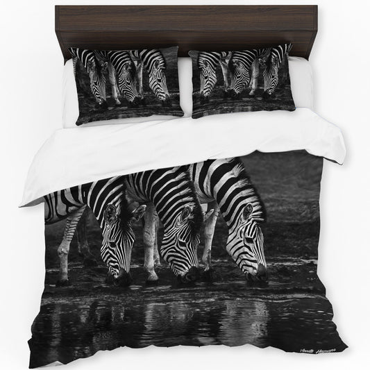 Zebras Drinking Water by Annette Heymans