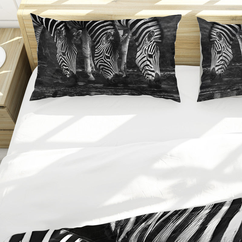 Zebras Drinking Water by Annette Heymans