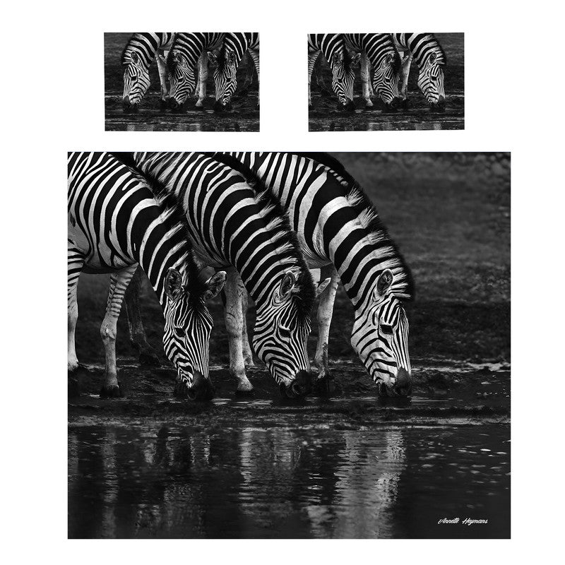 Zebras Drinking Water by Annette Heymans