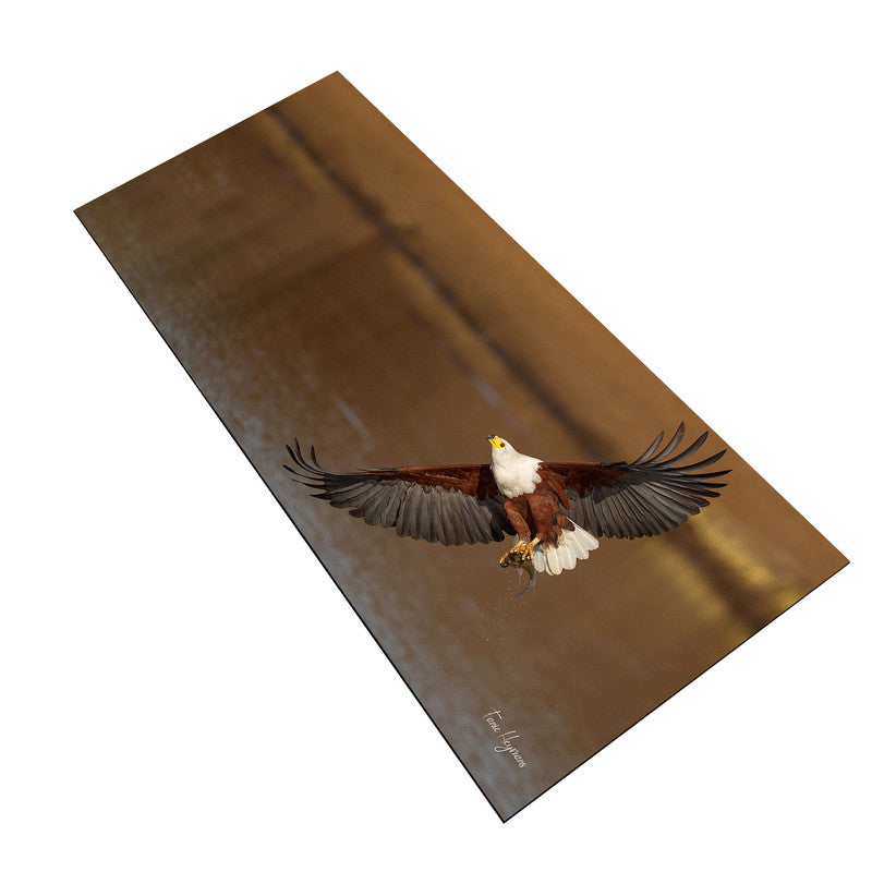 african fish eagle visarend flyby Large Desk Pad By Fanie Heymans