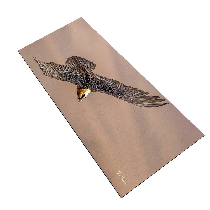 bearded vulture spread wings Large Desk Pad By Fanie Heymans