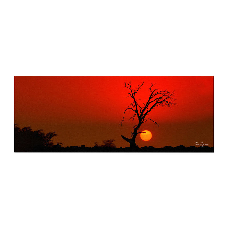 kgalagadi red sunset dead tree Large Desk Pad By Fanie Heymans