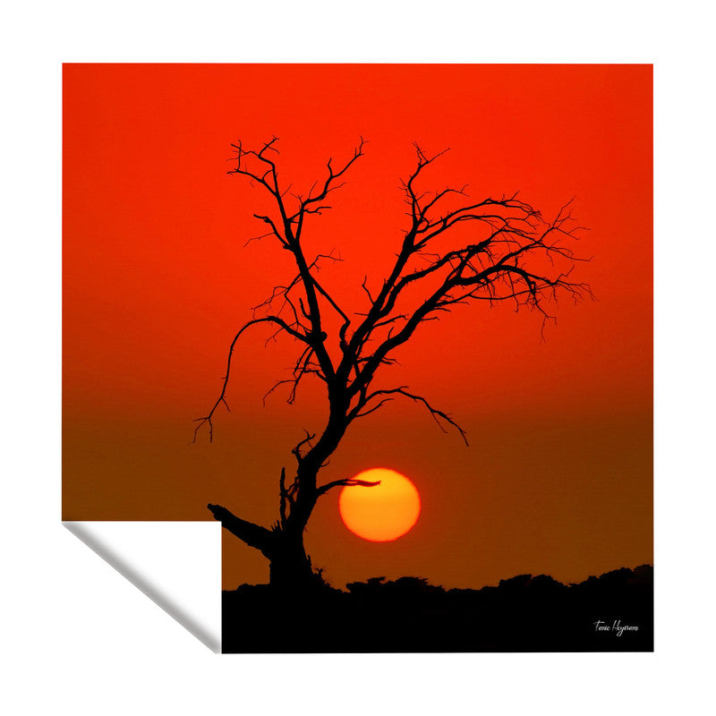 Kgalagadi Red Sunset Square Tablecloth By Fanie Heymans
