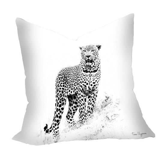 Leopard Black & White Luxury Scatter By Fanie Heymans