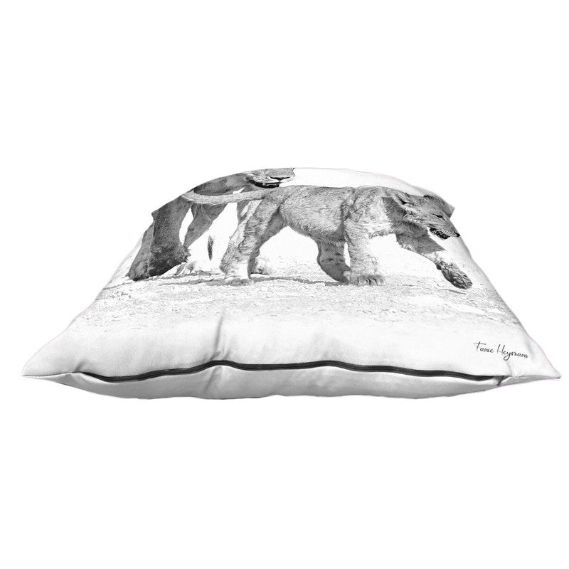Panthera Leo Black & White Luxury Scatter By Fanie Heymans