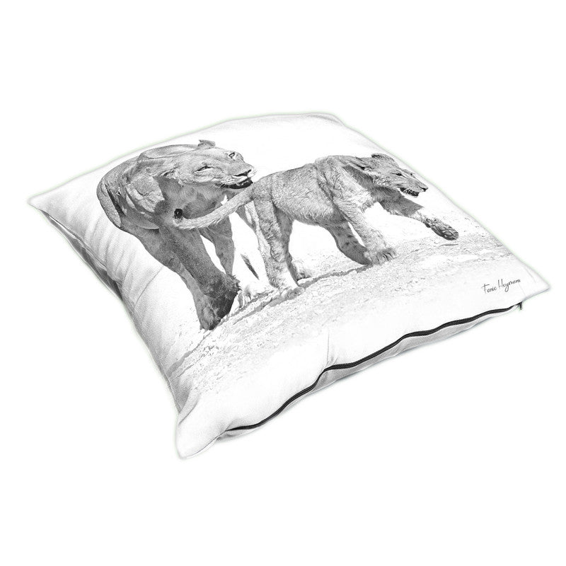 Panthera Leo Black & White Luxury Scatter By Fanie Heymans