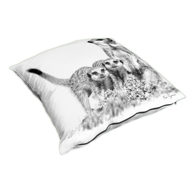 Suricate Meerkats Luxury Scatter By Fanie Heymans