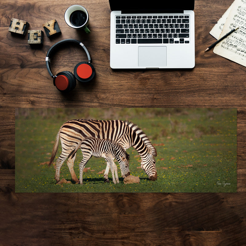 zebra mother baby wildlife Large Desk Pad By Fanie Heymans