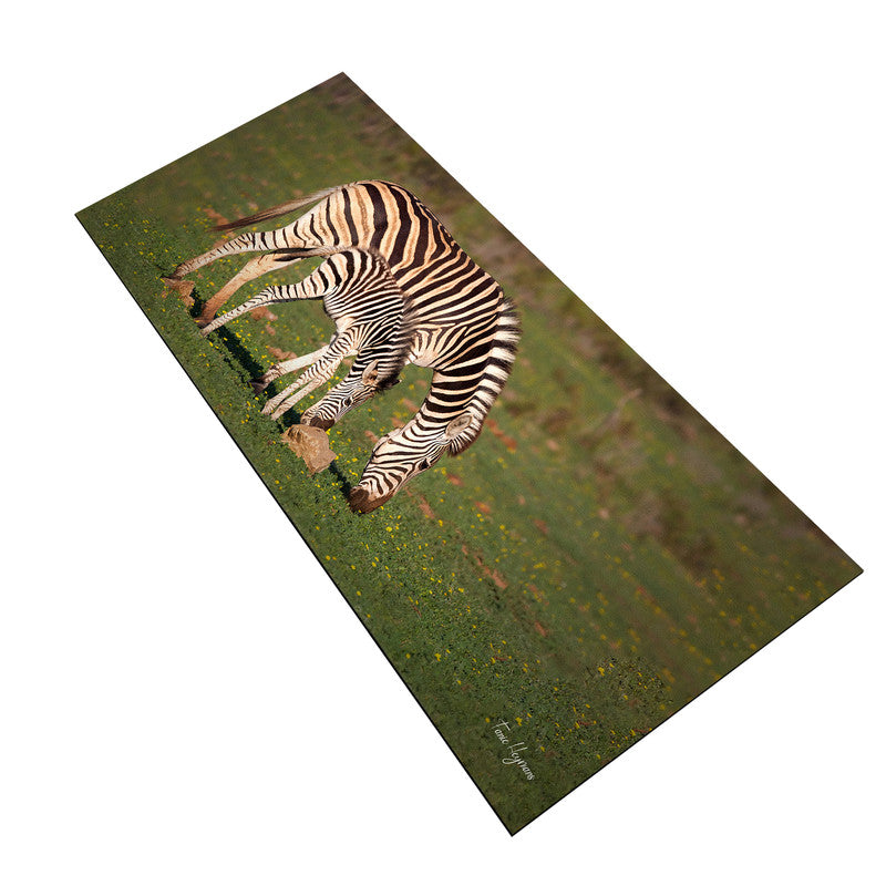 zebra mother baby wildlife Large Desk Pad By Fanie Heymans