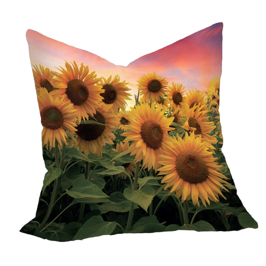 Sunset Sunflowers Luxury Scatter
