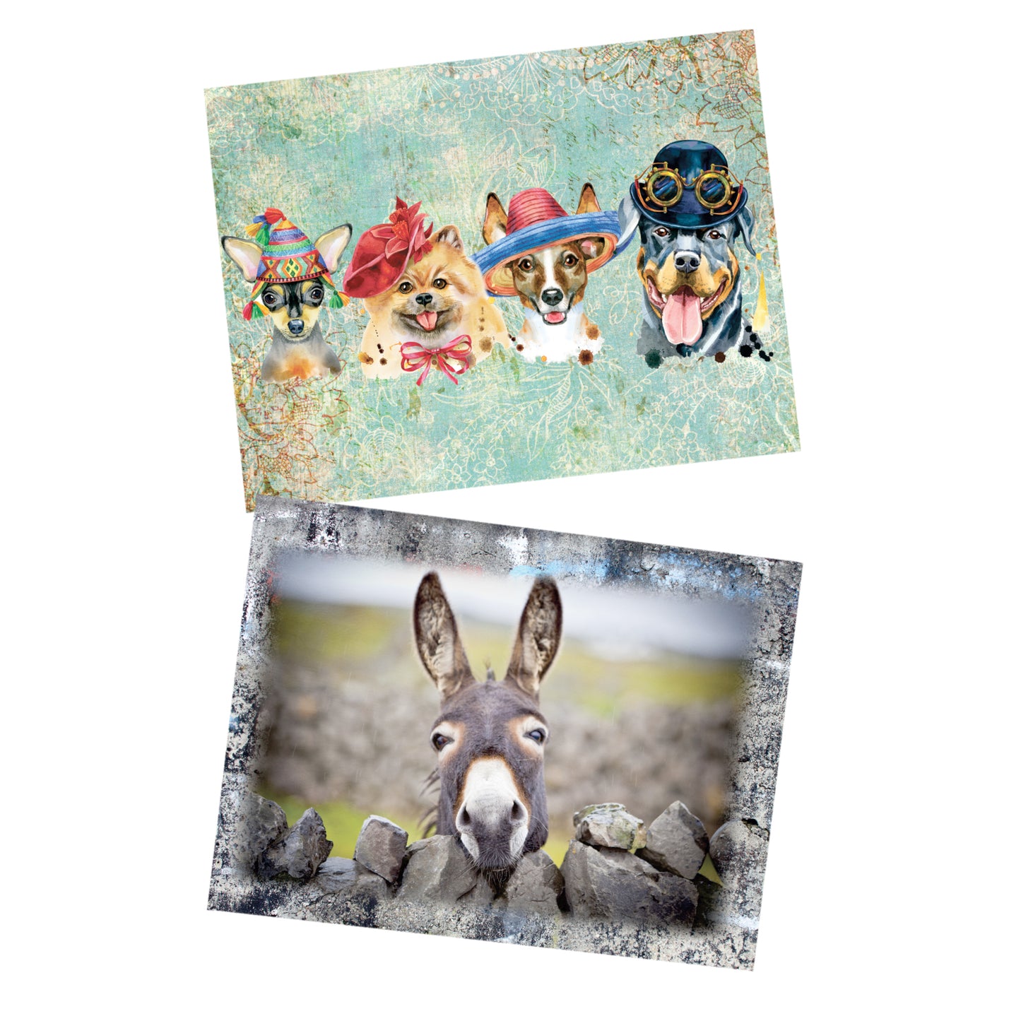 Decoupage Tear Resistant Transfers - Colourful Animal Friends 60cm x 80cm
