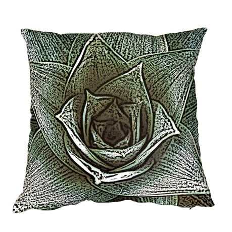 Abstract Aloe Luxury Scatter By Mark van Vuuren