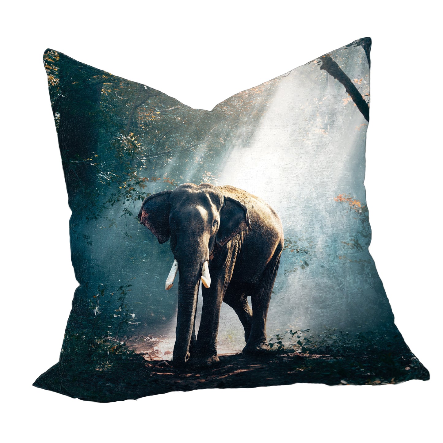 Elephant in the Mist Luxury Scatter