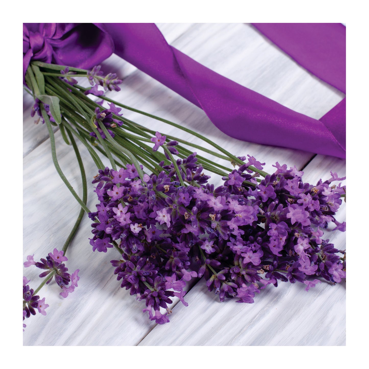 Lavender Square Tablecloth