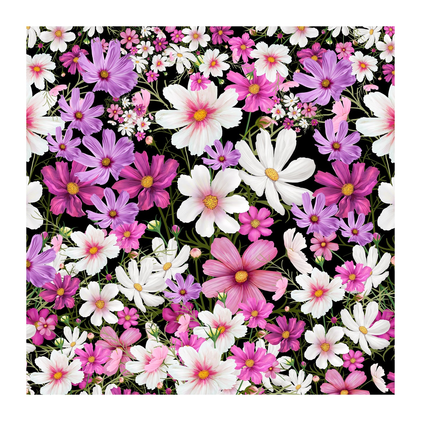 Cosmos on Black Square Tablecloth By Mark Van Vuuren