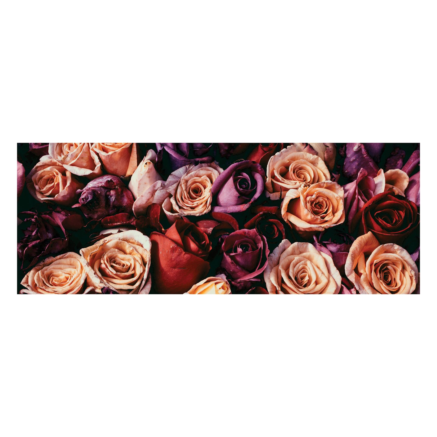 Mix of Dark Roses Decoupage Drum Cover