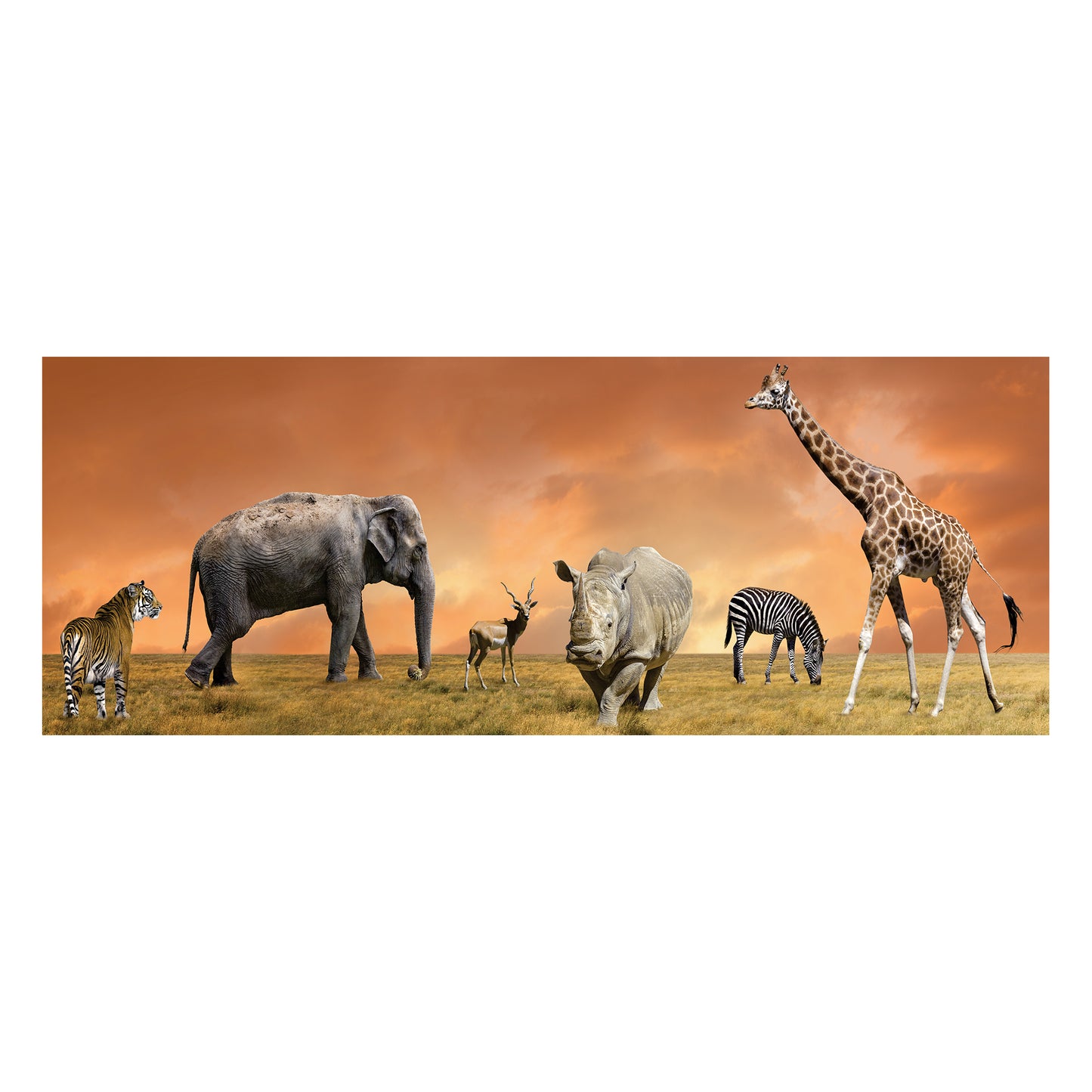 Mix Of Animals Decoupage Drum Cover
