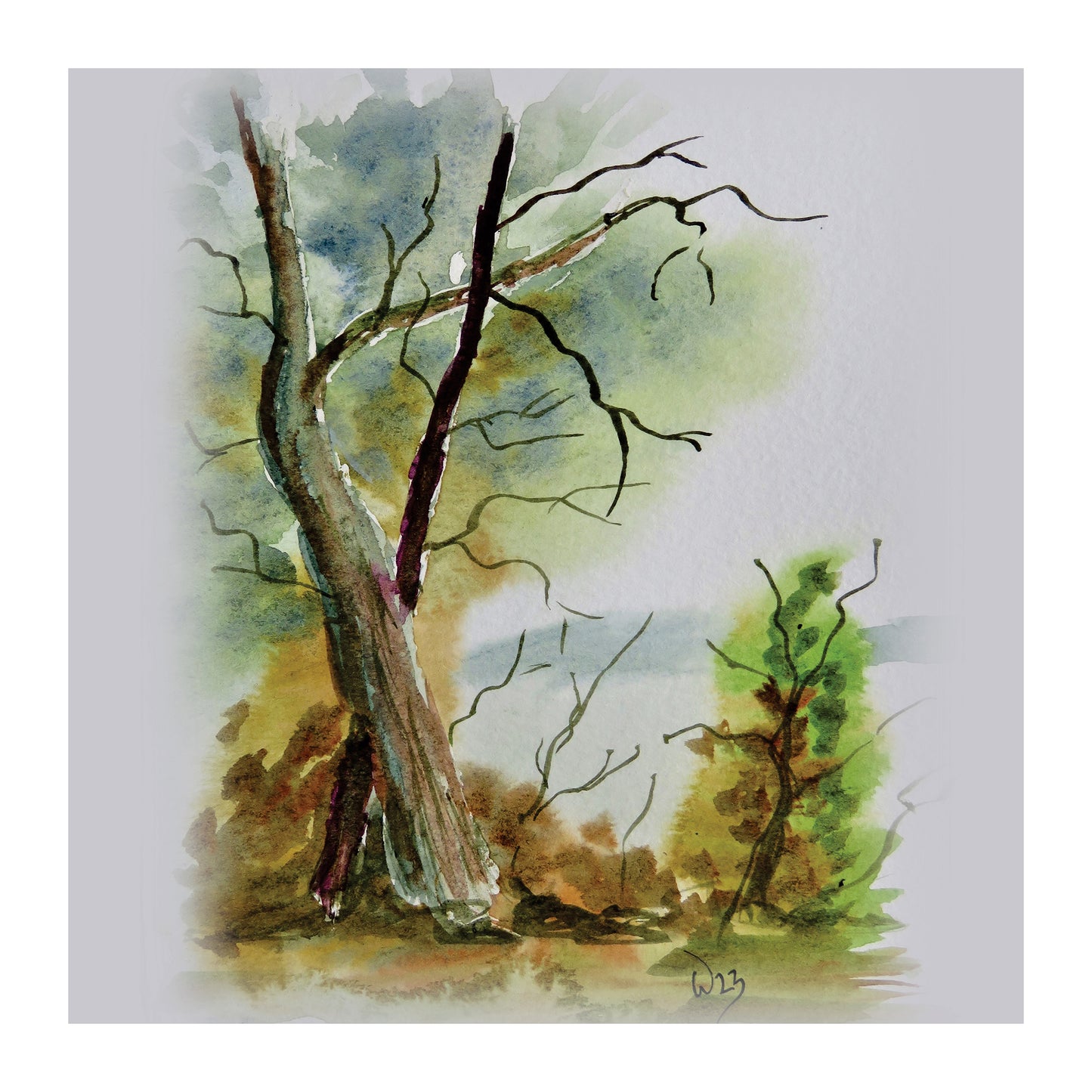 Beautiful Barren Tree By Wikus Hattingh Square Tablecloth