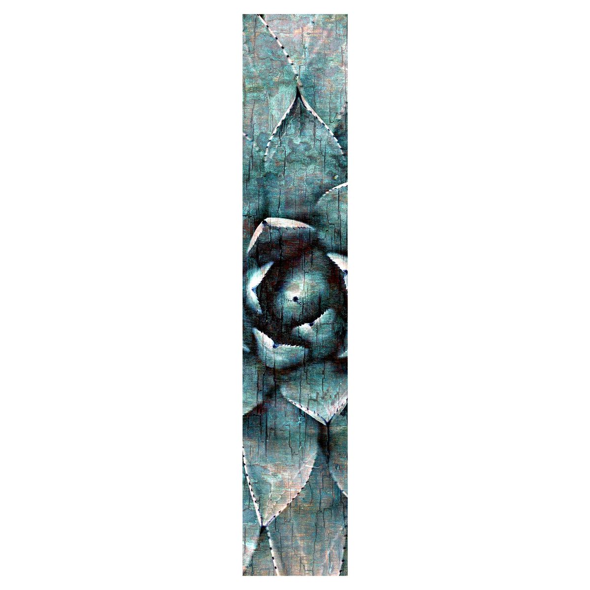 Rustic Blue Succulent Table Runner By Mark van Vuuren