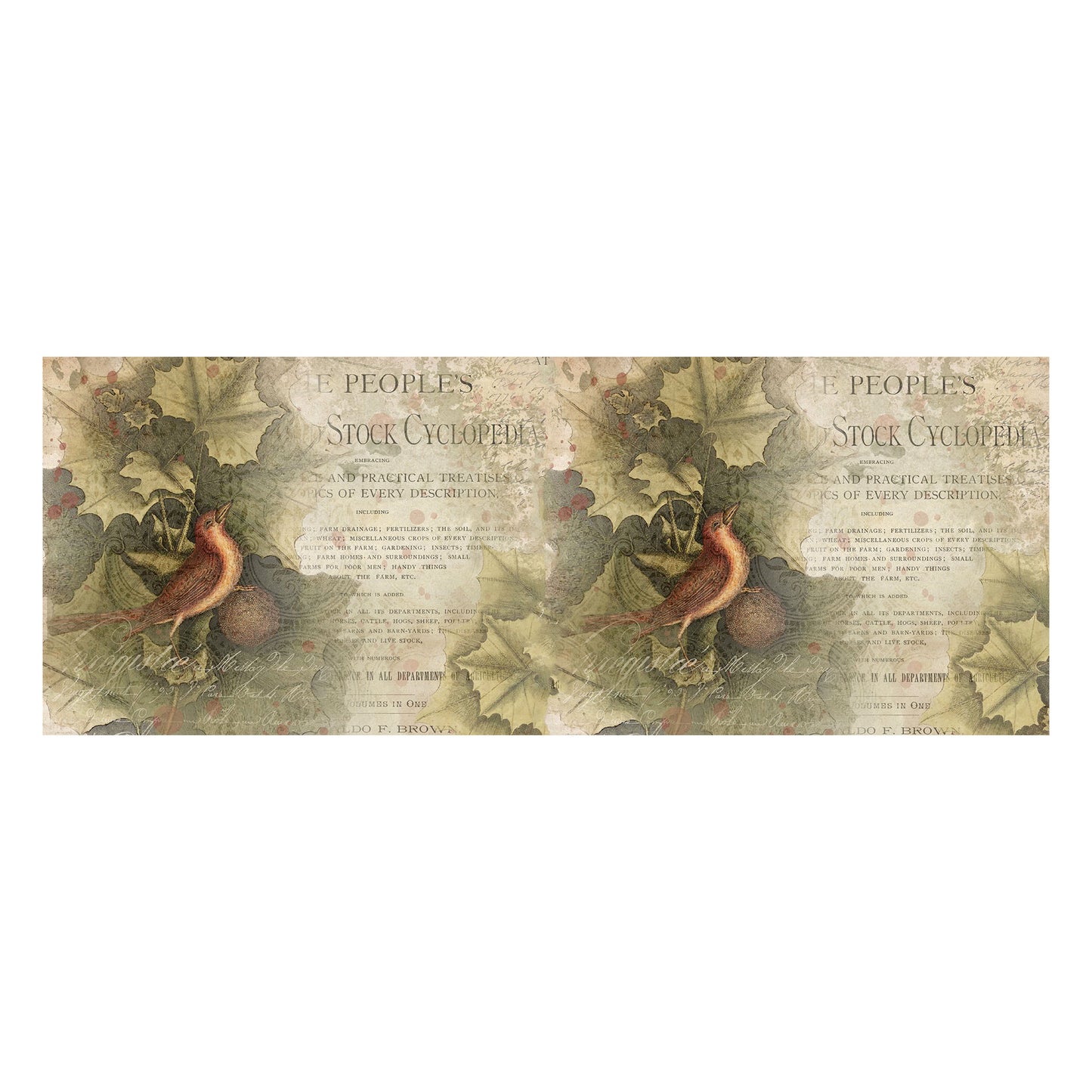 Vintage Painted Birds Decoupage Drum Cover