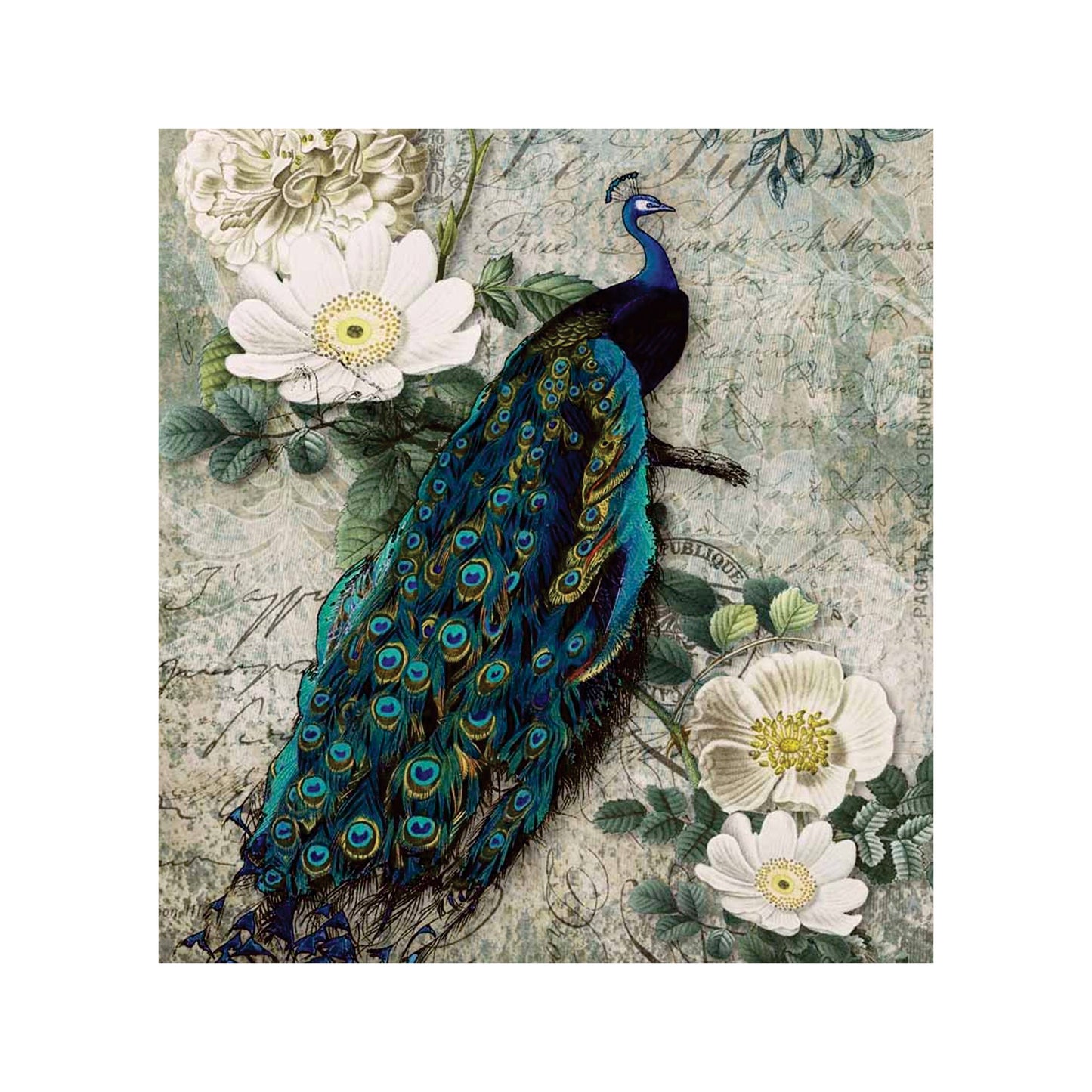 Vintage Peacock 65cm x 75cm Medium Appliance Decoupage