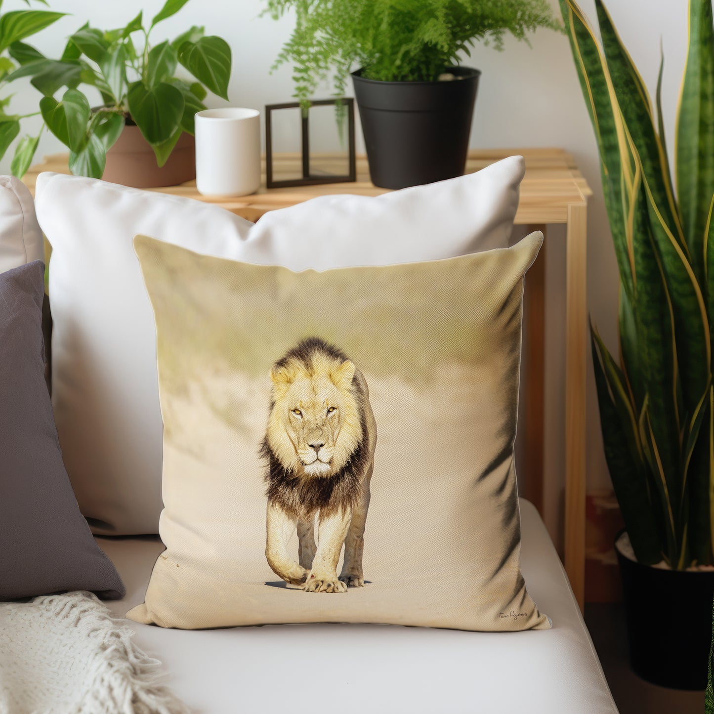 Male Lion Luxury Scatter By Fanie Heymans