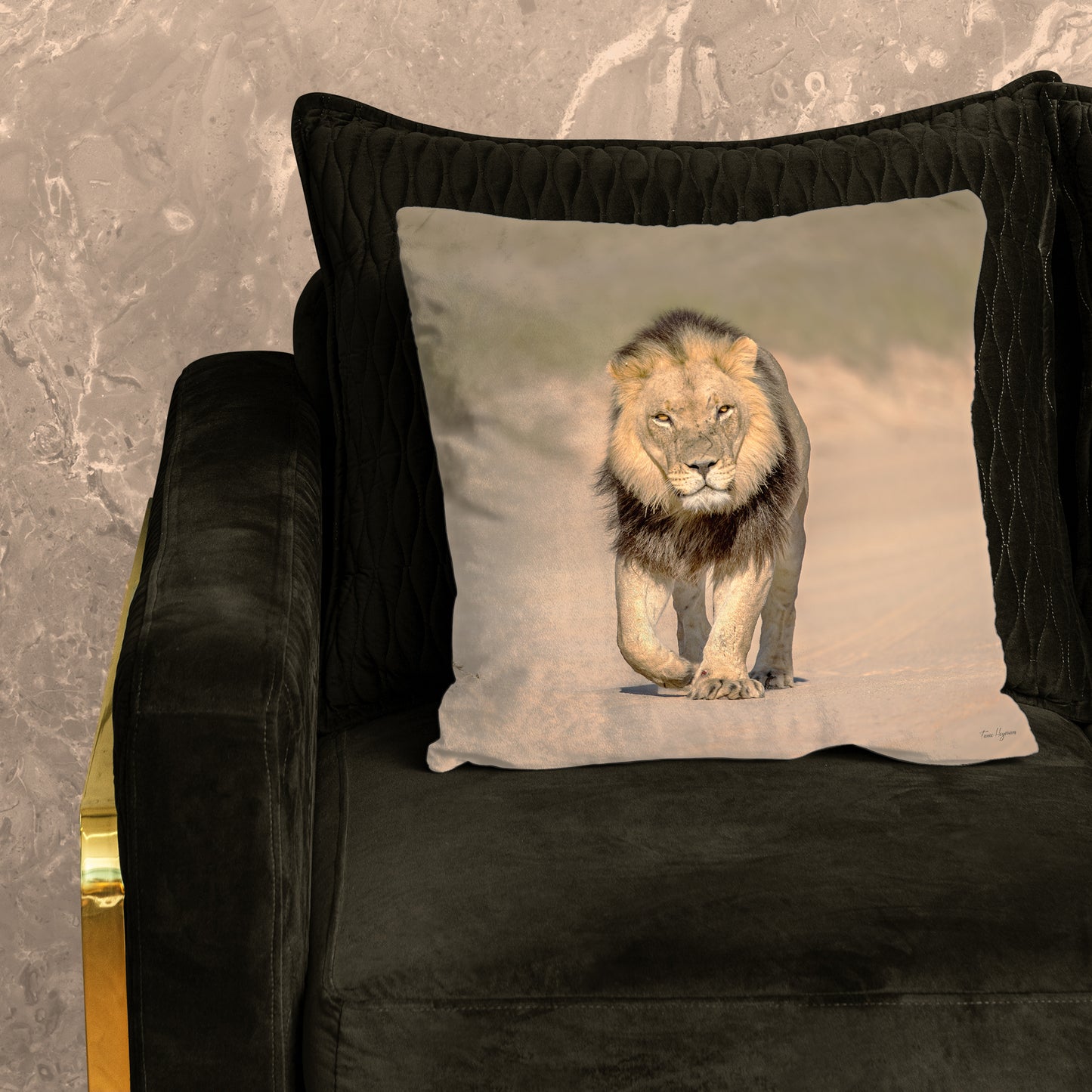 Male Lion Luxury Scatter By Fanie Heymans