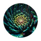 Abstract Fractal Spiral Round Tablecloth